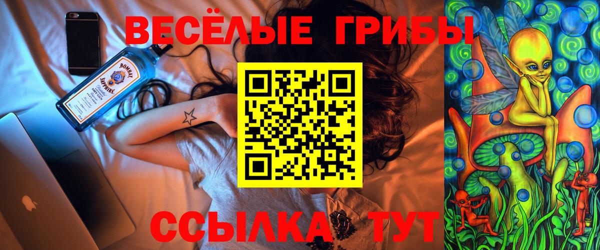 Галлюциногенные грибы Cubensis Клин