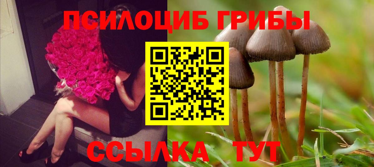 Галлюциногенные грибы Magic Shrooms  Псилоцибиновые грибы прущие грибы  Вход с VPN  Клин 